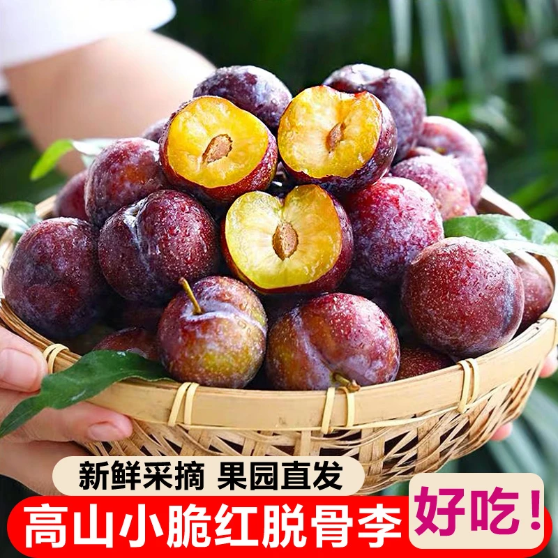 【脆甜脱骨】四川高山脆红脱骨李子新鲜当季水果脆甜整箱青红脆李