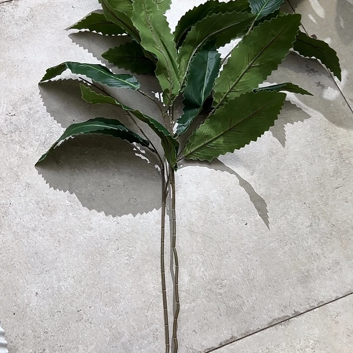 拍品大福利大鹅经济