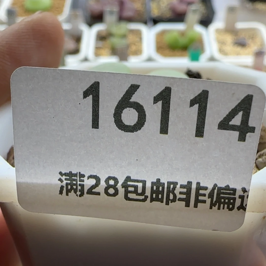 【闪购商品】斌****^16114