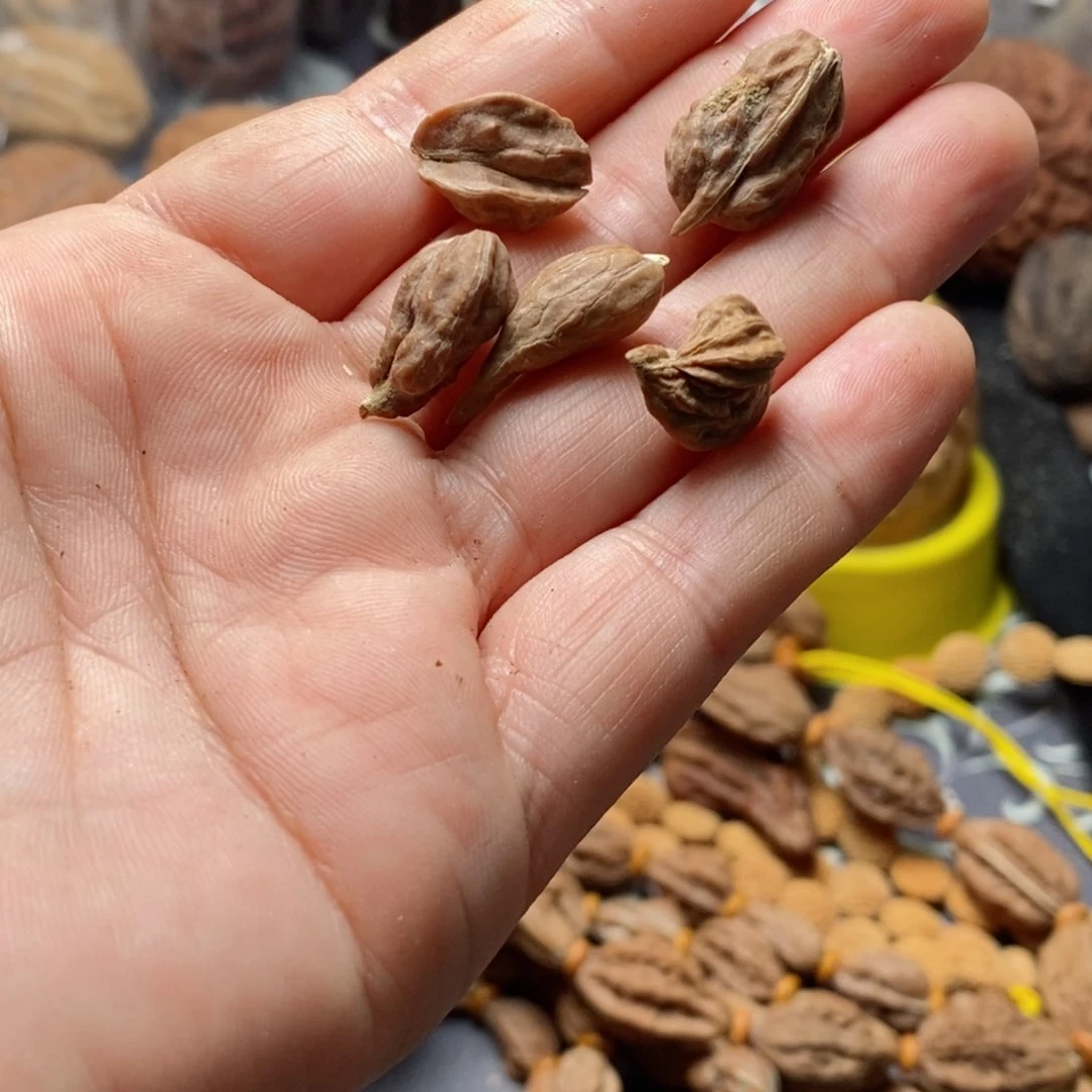 文玩核桃吊坠家核桃120