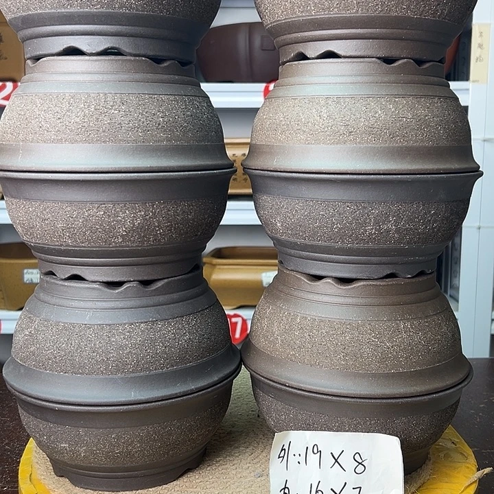 花盆紫砂你在一起