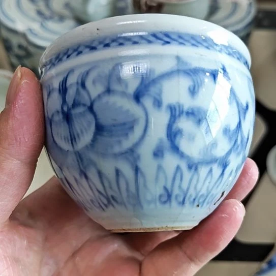 瓷片长枝花卉铁线苗的小健康