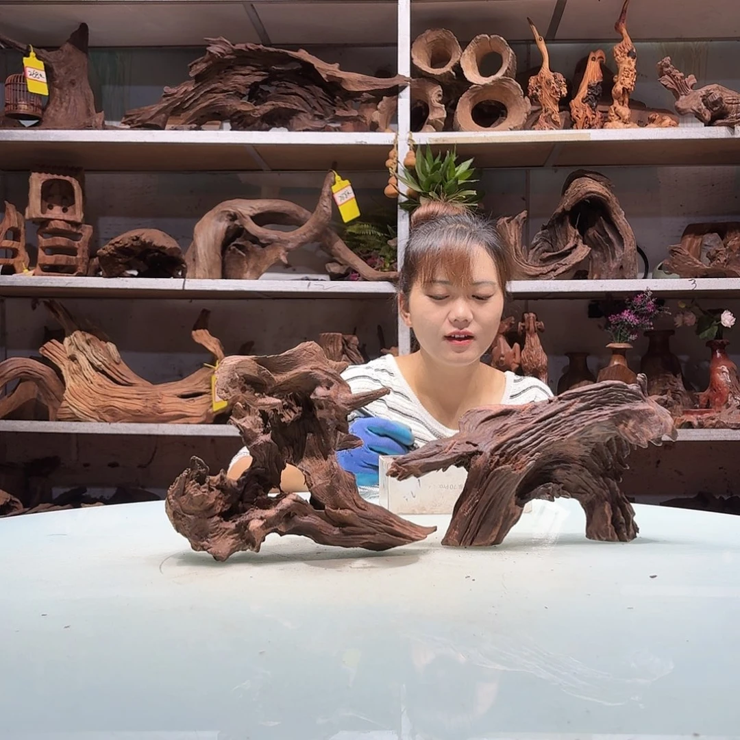 紫砂紫柚沉木不包损必黄水鱼****A3302-2