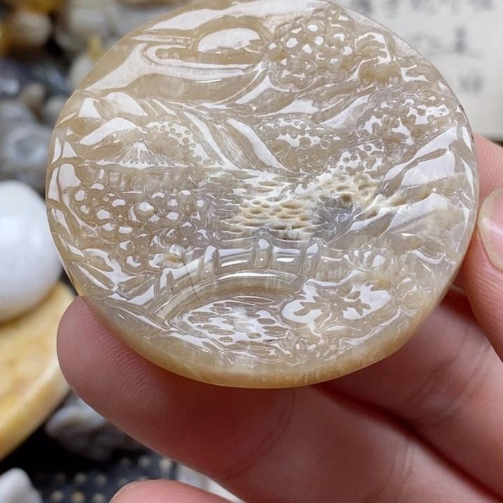 颈饰未镶嵌硅化珊瑚（珊瑚玉）