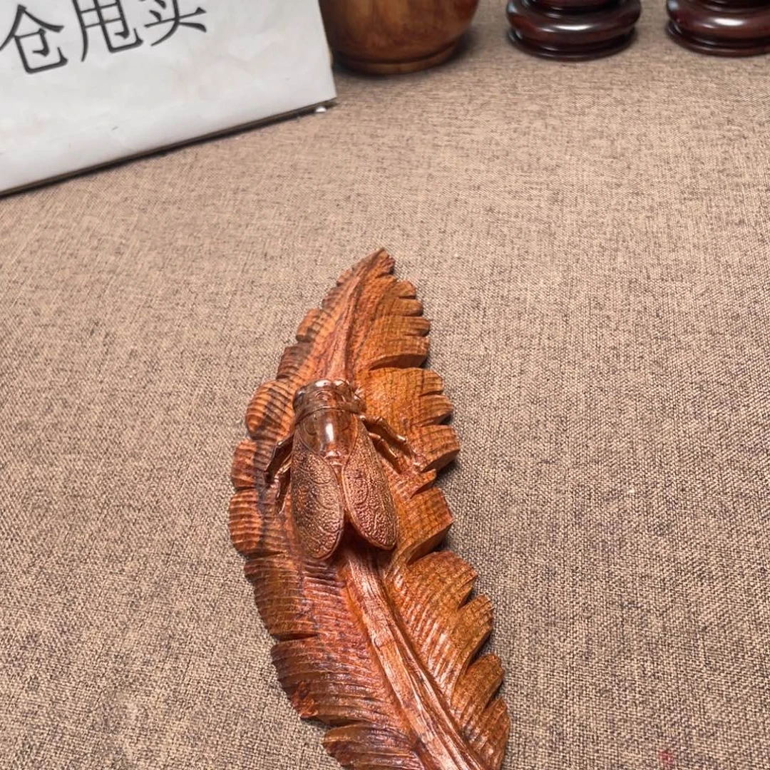 黄花梨/降香黄檀叶子