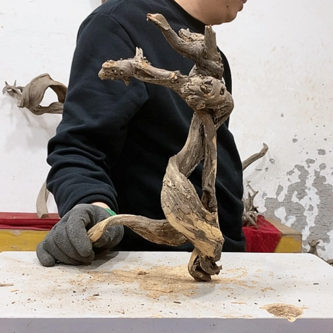 【闪购商品】柏木老****爱我们都是好孩子