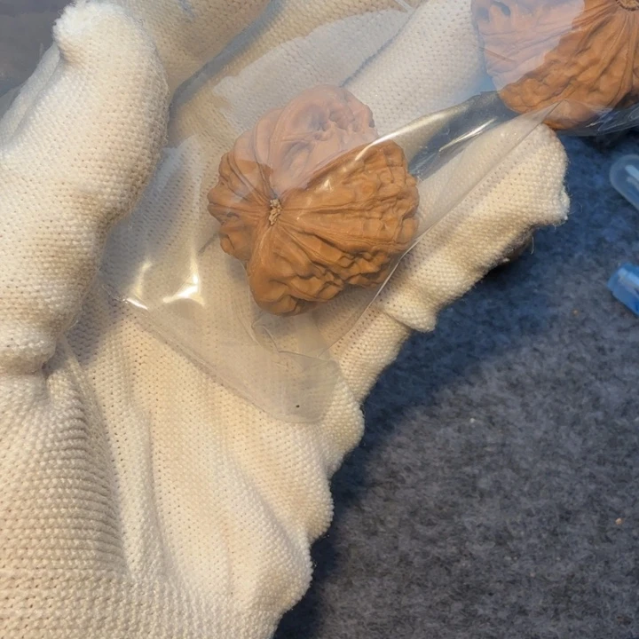 !***牛吊坠文玩核桃战鼓