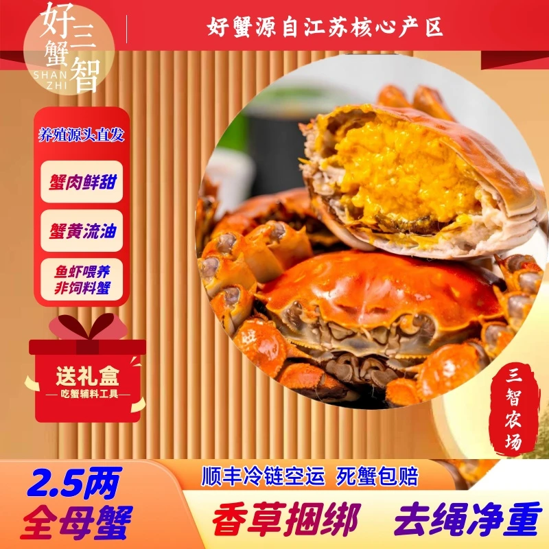 【活蟹】江苏三智农场大闸蟹【母蟹】【礼盒装】2.5两8只10只12只装鲜活