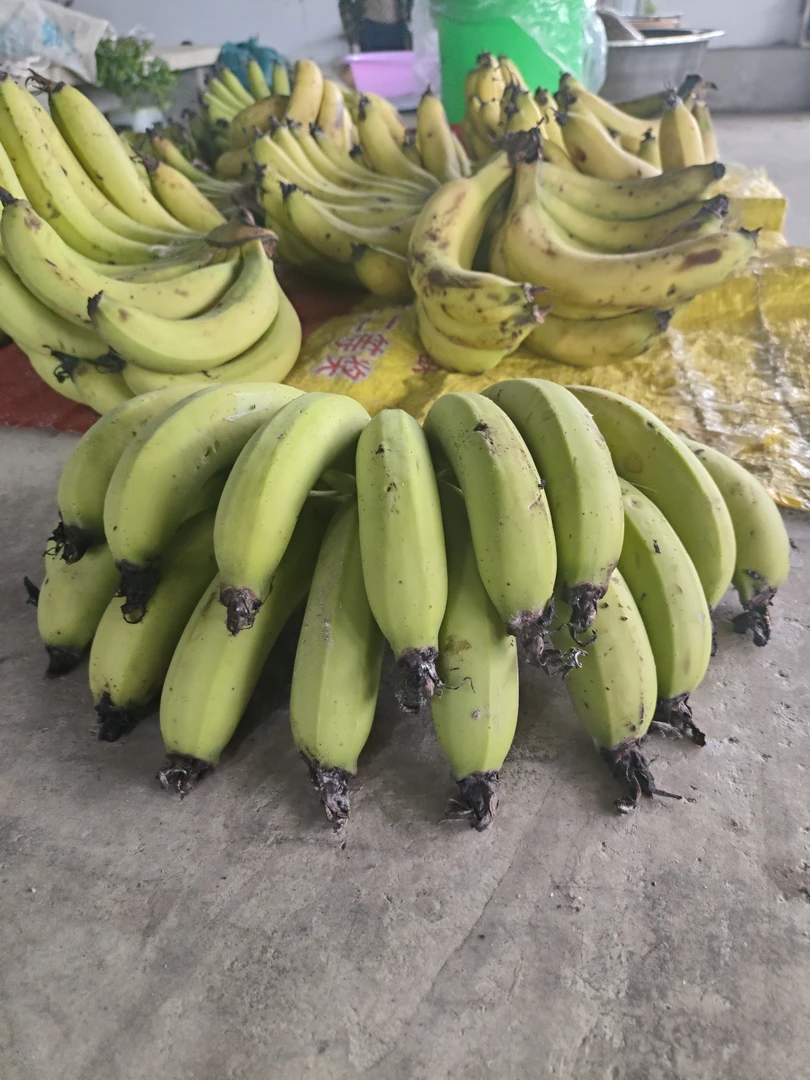 小刘云滇甄选-香蕉