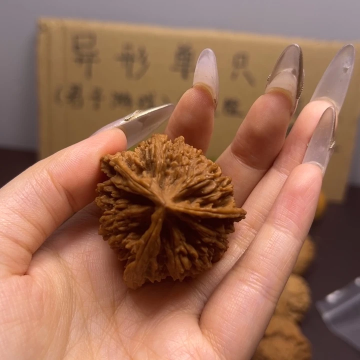 挪***林菩提籽类三棱单只异型