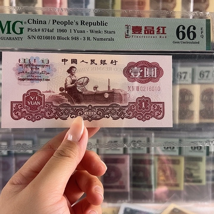 深墨版一品红福利包邮
