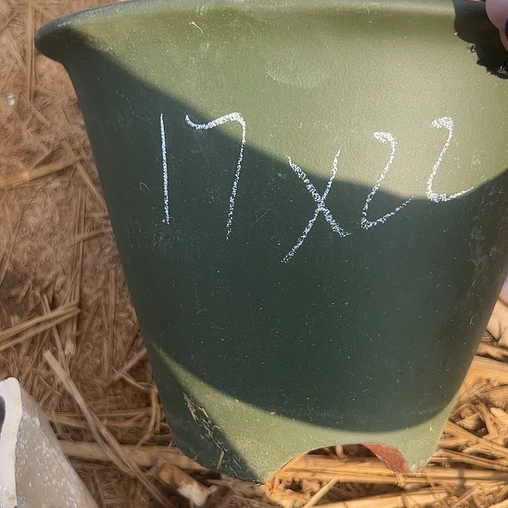 阻塞我安排下呈现出瑕疵