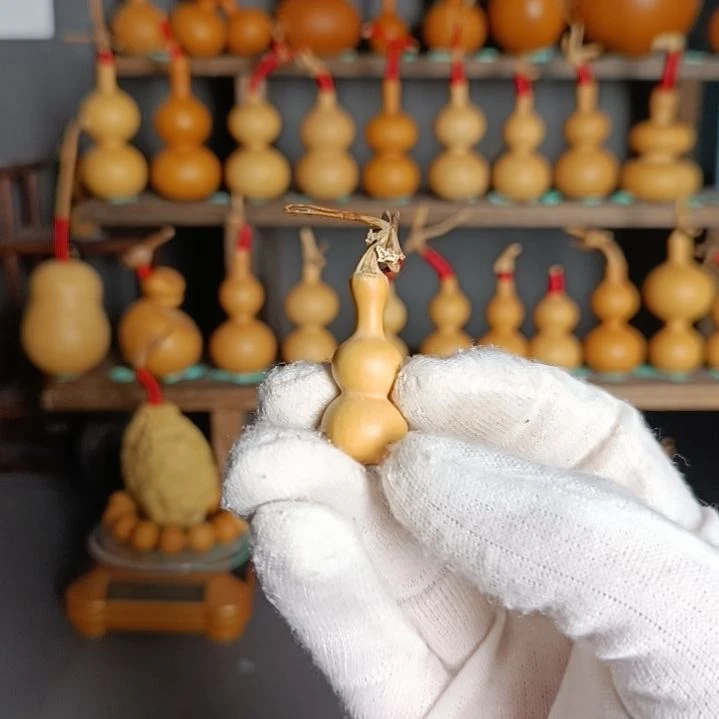 晨*葫芦葫芦葫芦葫芦葫芦葫芦葫芦葫芦