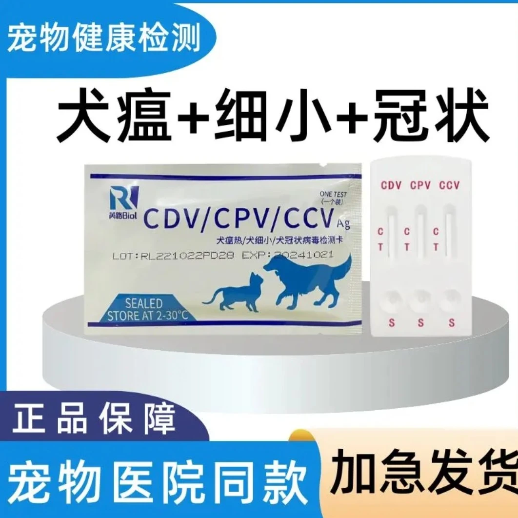 狗狗(检测试纸)拍这个