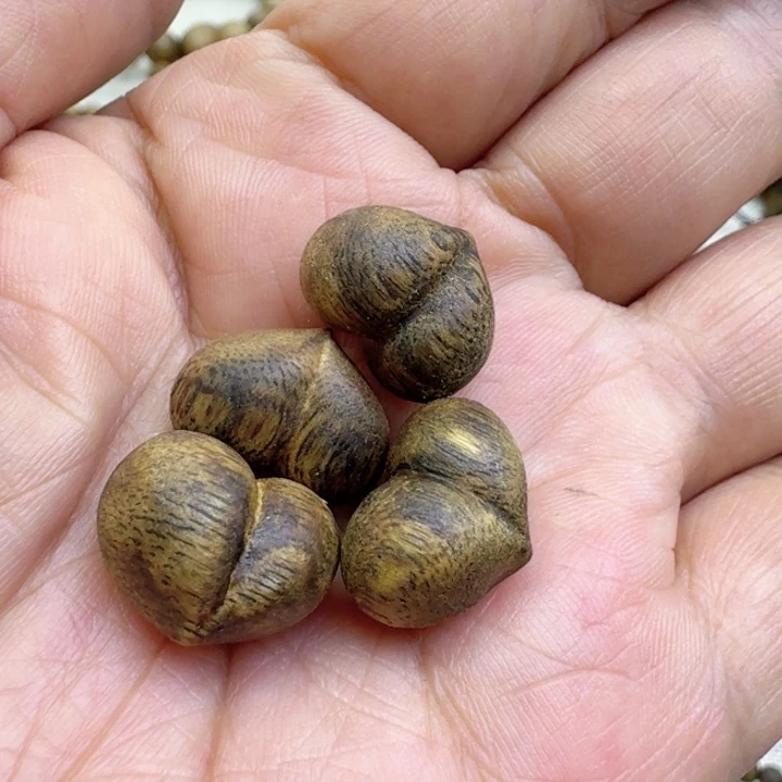 沉香沉香碎屑屁桃4个