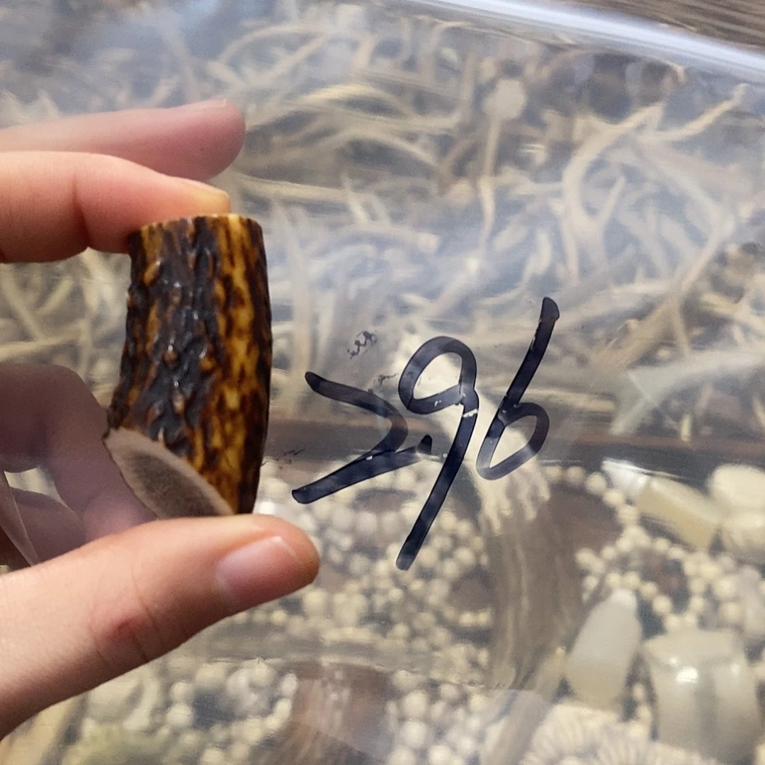 金***顺非金属鹿角鹿角鹿