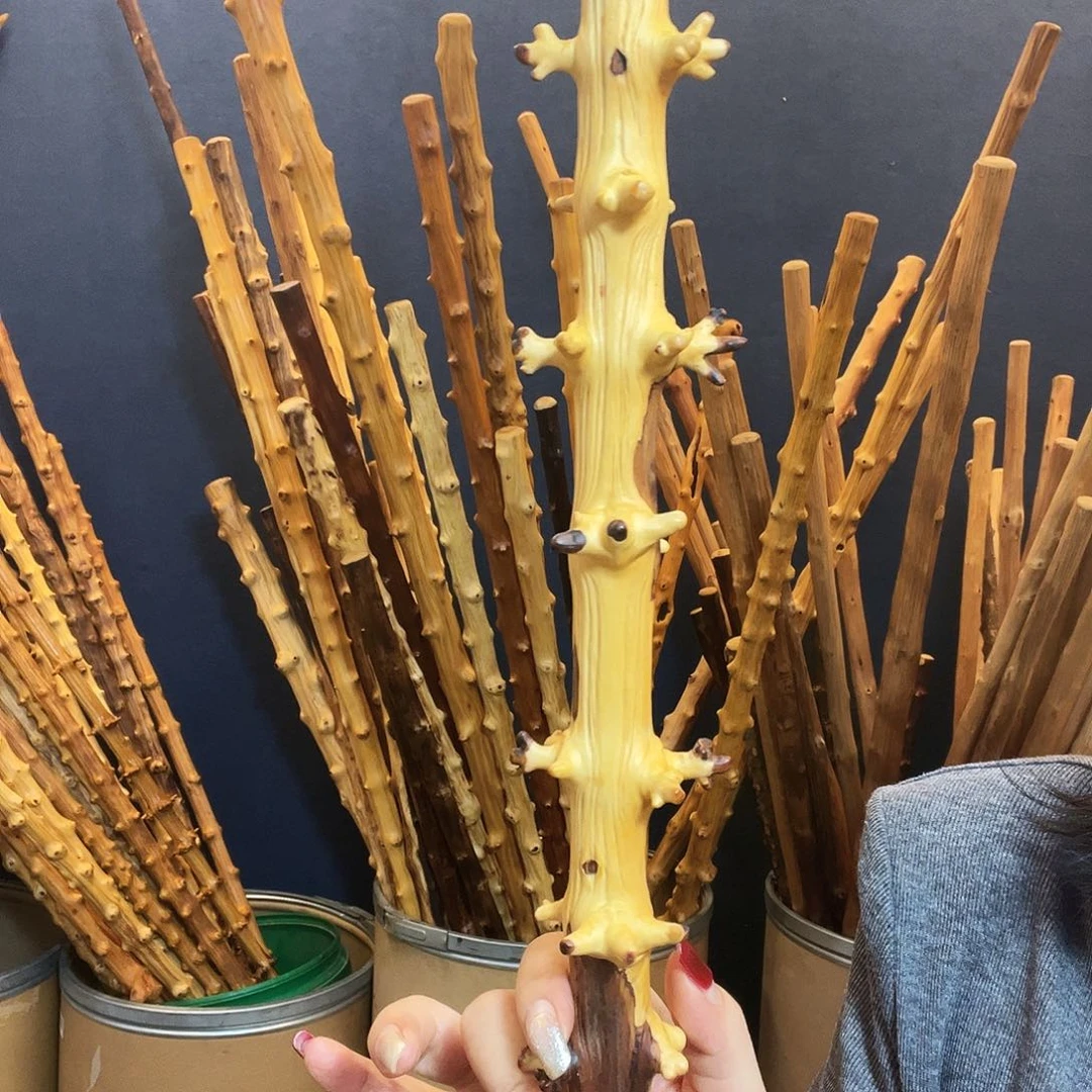 酷***鱼好好好好好好好好好好