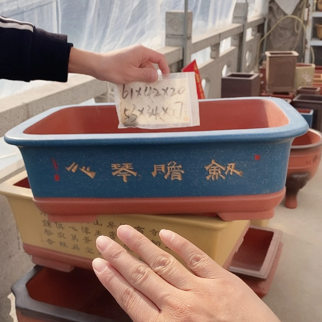 紫砂花盆心*哥紫砂花盆