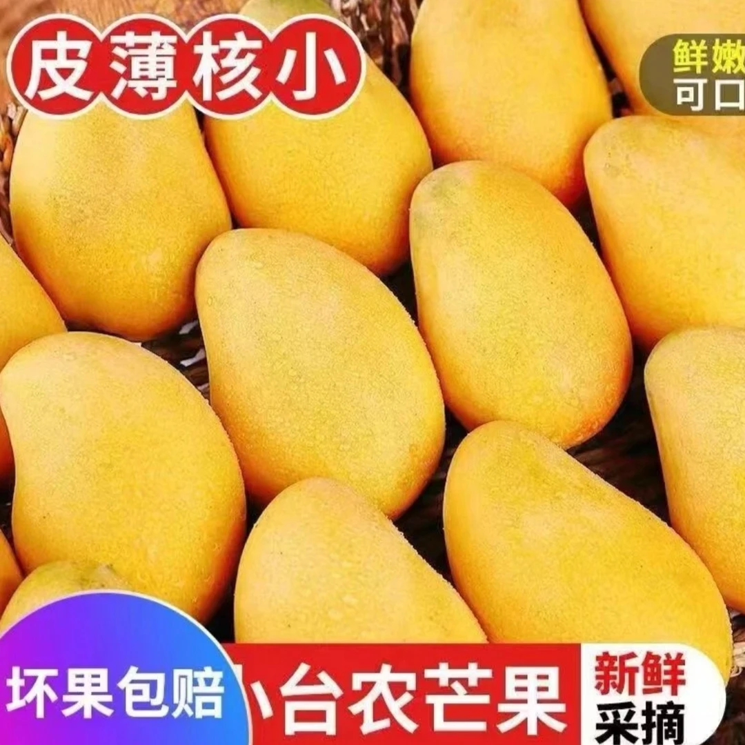 海南小台农芒果带箱5斤大果小台芒正宗应当季时令热带新鲜水果