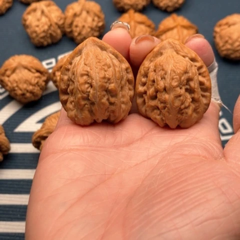 橄榄核手串/手链赤龙鸡心33