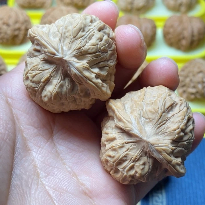 文玩核桃南瓜墩41