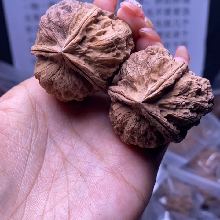 核桃云南野生铁核桃150号40mm
