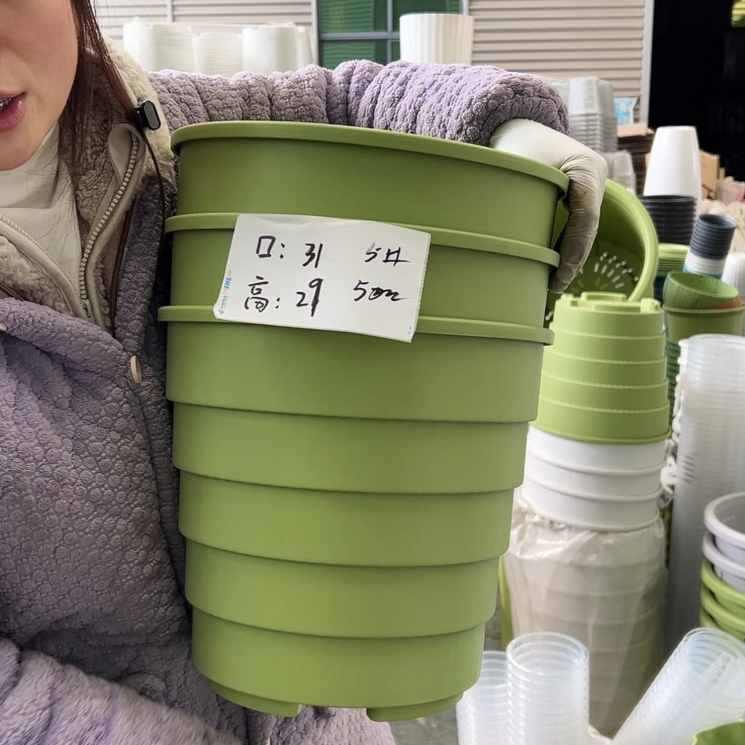 多孔盆5#果绿3个无托