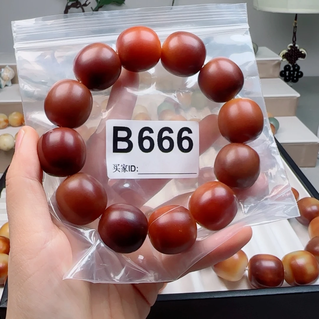 吊坠菩提根/象牙果菩提2.26中大瑕不退不换