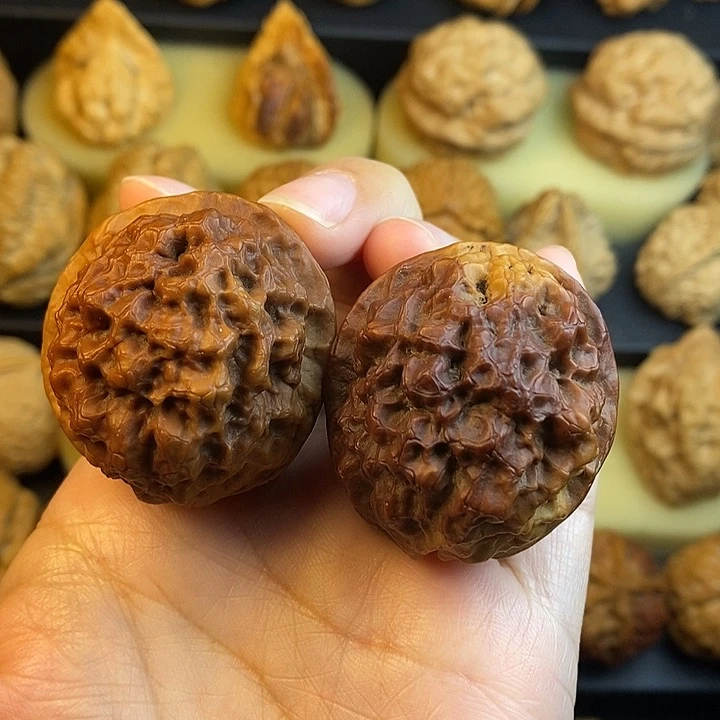 文玩核桃吊坠七彩舍利39