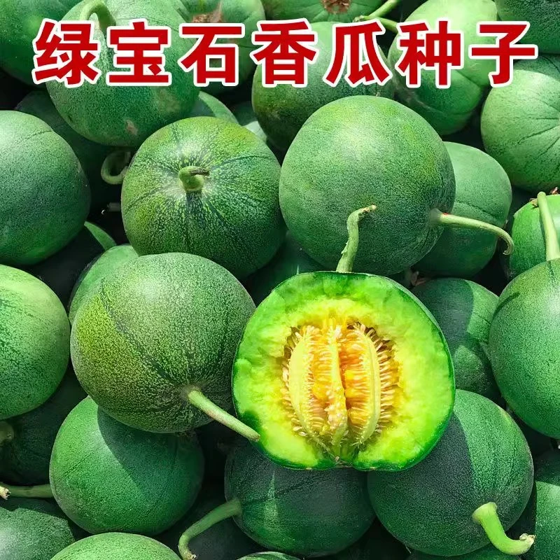 绿宝石甜瓜种籽大全正品绿宝石种子春季四季蔬菜种孑香瓜种籽秧子