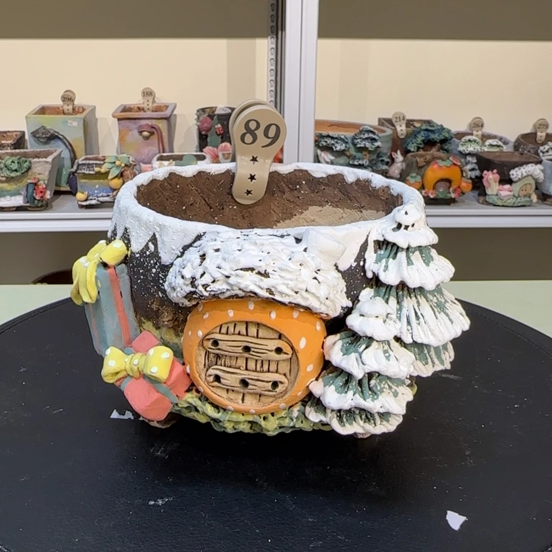 89 【闪购】多肉花盆