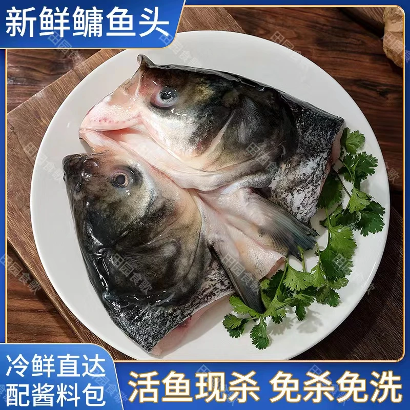 胖头鱼头鳙鱼大头鱼花鲢鱼头剁椒鱼头冷冻半成品食材袋装送酱料包