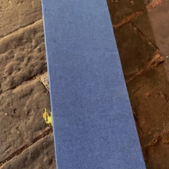 大叶紫檀（黑酸枝木类）玉*1