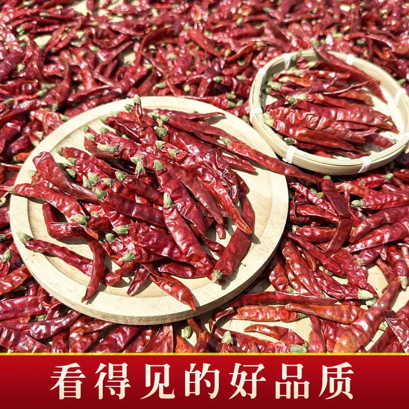 特辣特香巨辣魔鬼椒湖南手工晾晒猛辣朝天干辣椒250g印度魔鬼辣椒