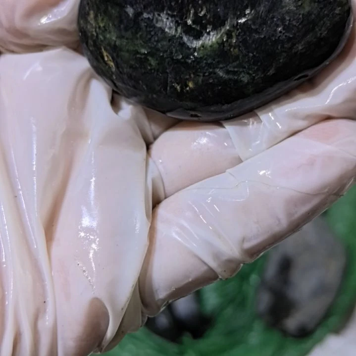 无***晴有机玻璃藏玉药王石原石手把件