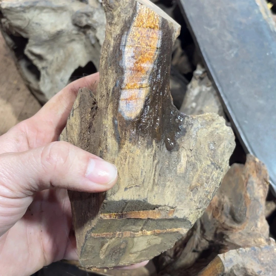 沉***金扇子贡木原料直发直发