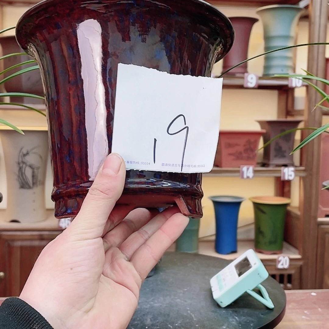 【闪购商品】紫砂花盆福****茶兰花7556585255855555