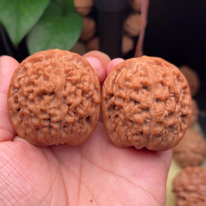 把件文玩核桃莲花41尺49克