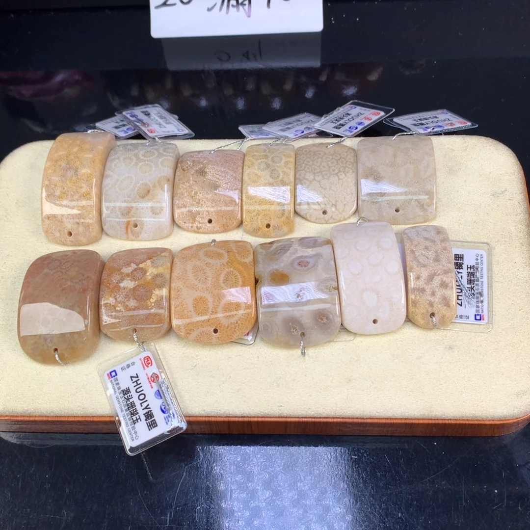 硅化珊瑚（珊瑚玉）未镶嵌吊坠(赠链)10米一个可挑（58号）