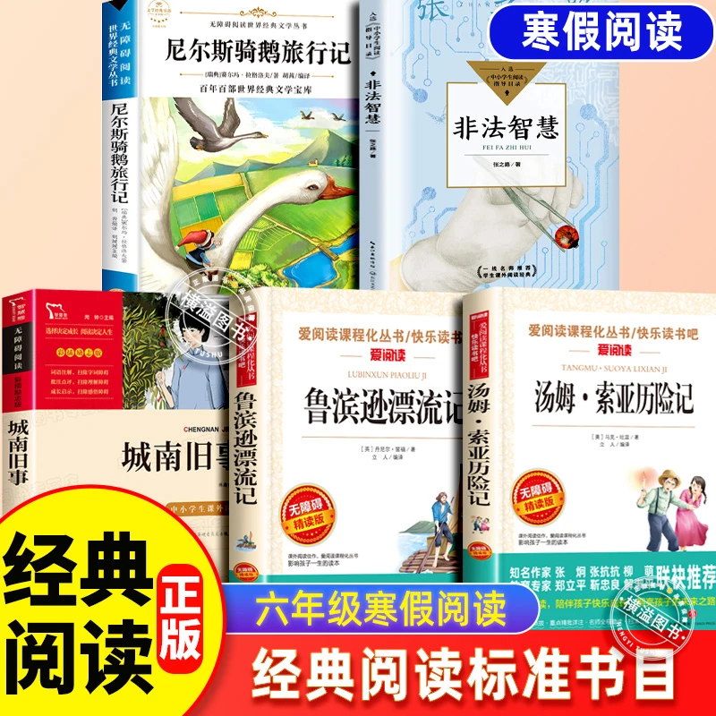 六年级课外阅读书正版全套5册 非法智慧城南旧事鲁滨逊漂流记骑鹅