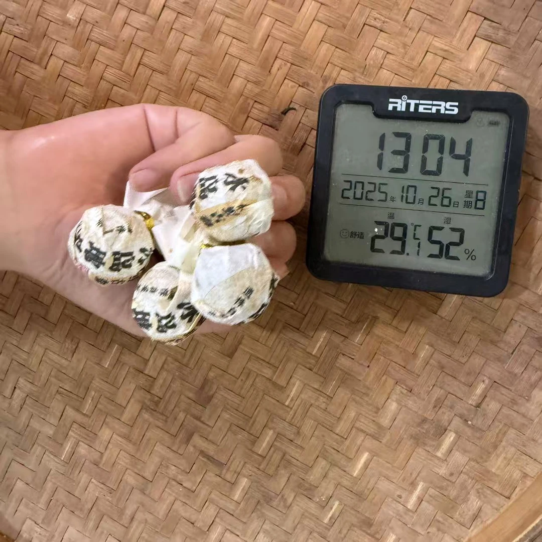 2023年冰岛地界枞野古森500年古普洱生茶龙珠MKHY1号10月26日