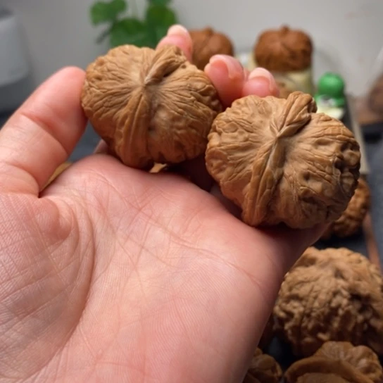 吊坠文玩核桃全品43元宝头货