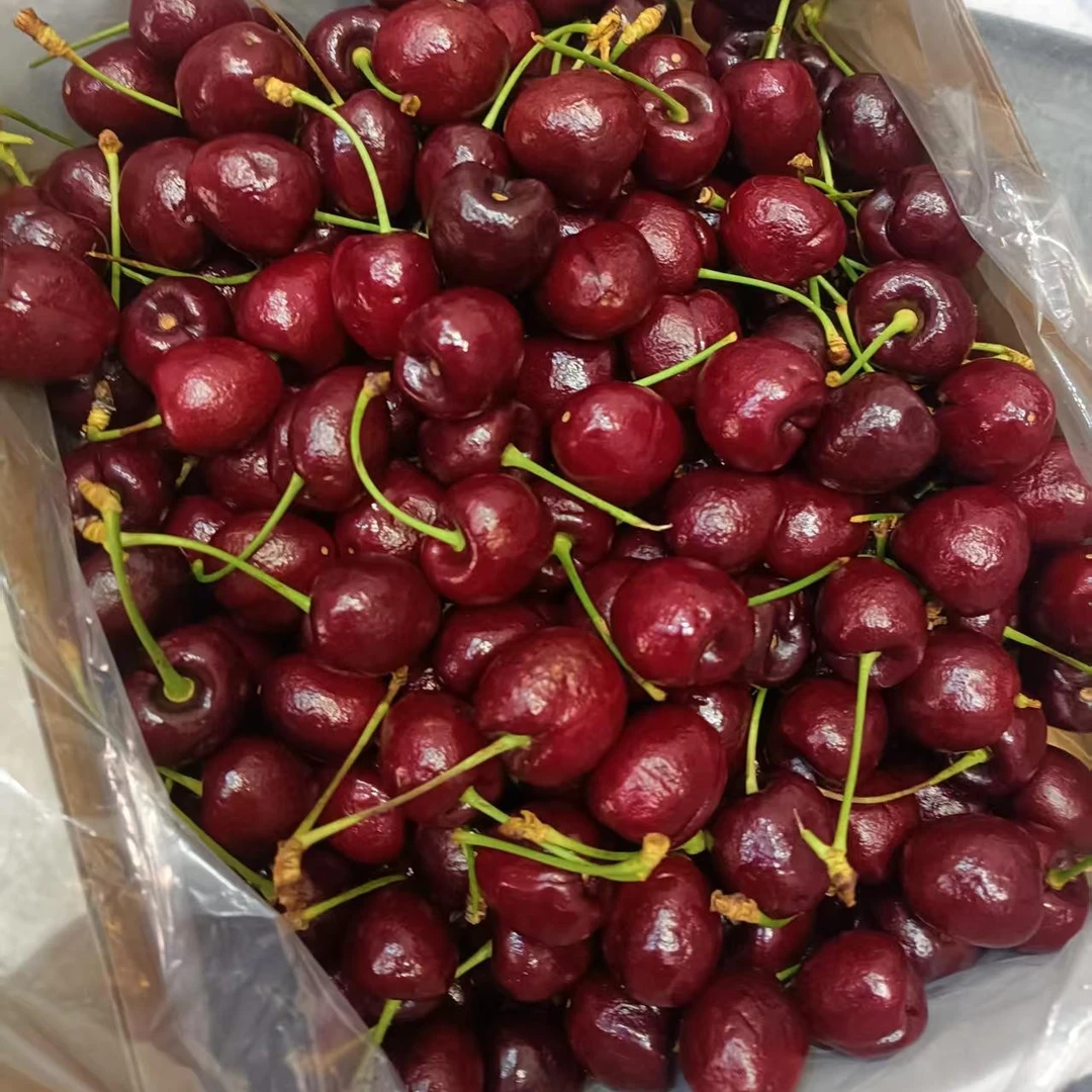 纯冰单J车厘子（3斤，配礼盒）