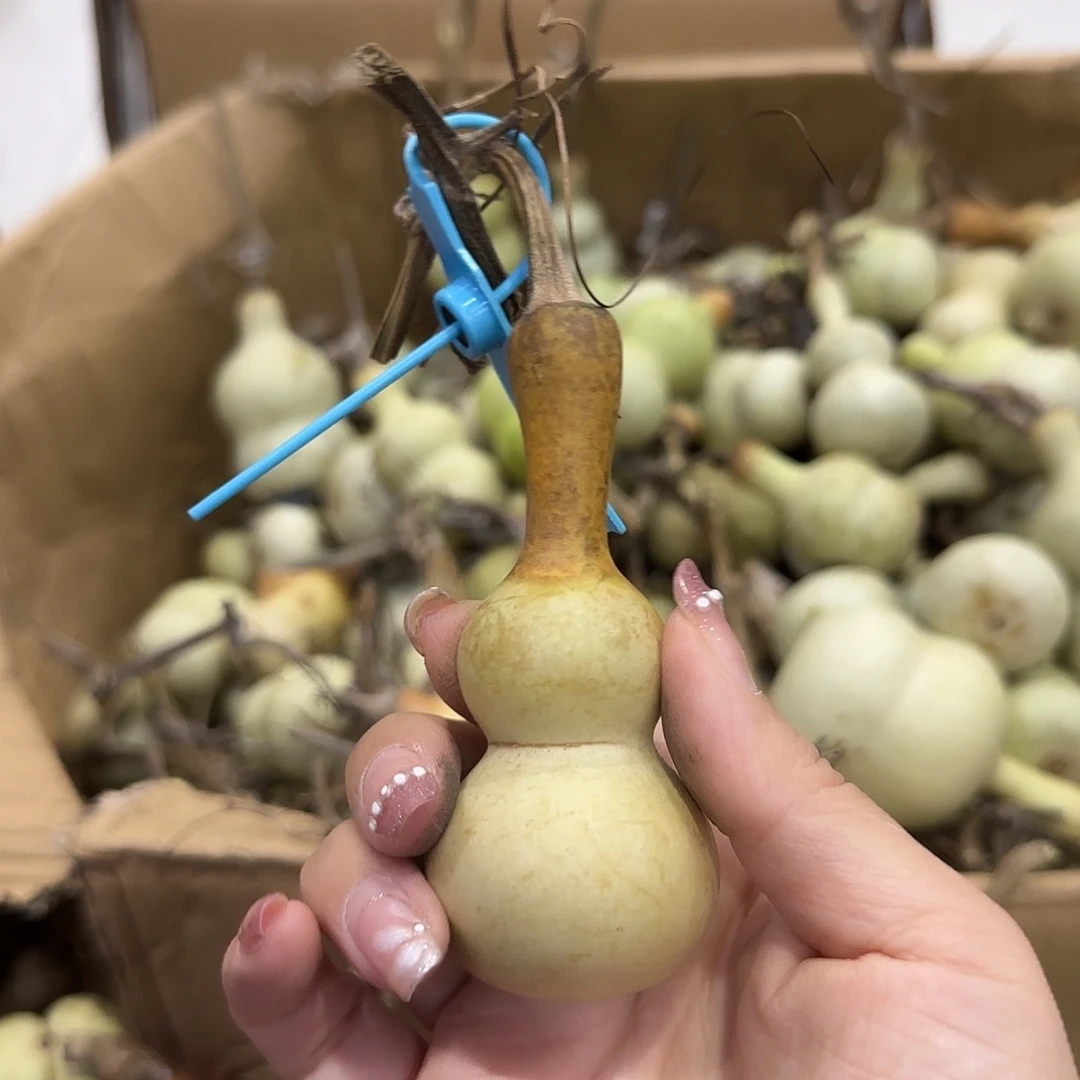 葫芦风光好风光好就好好过