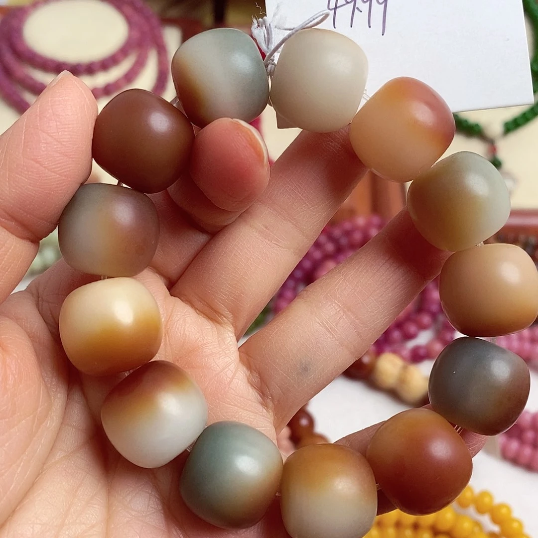 手串菩提根/象牙果