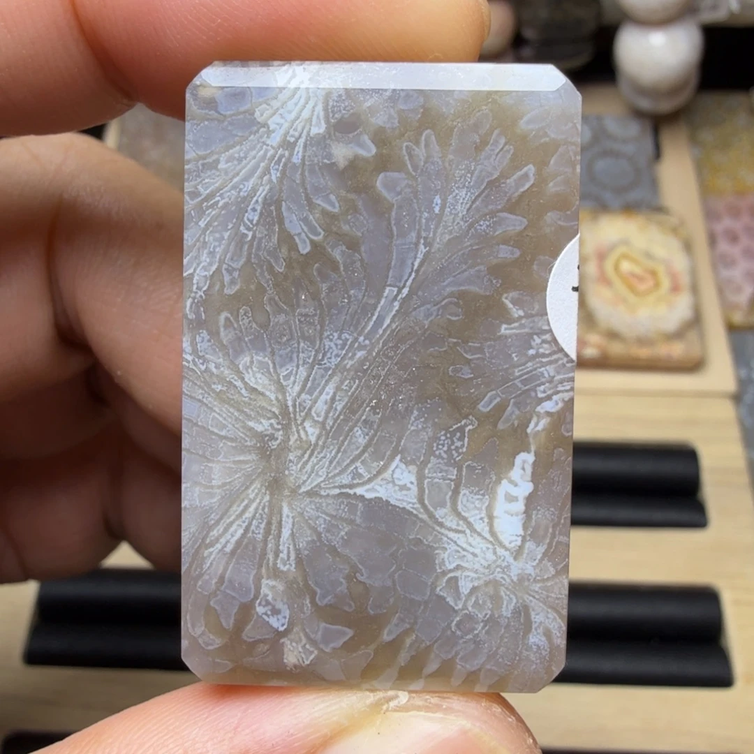 硅化玉未镶嵌纯天然色有机玉石保真色大羽毛