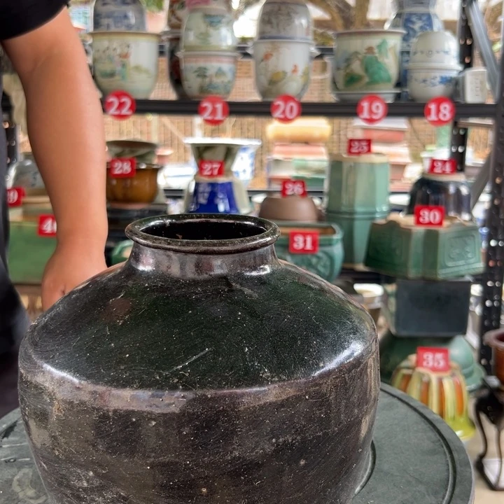 月***姐我们的生活是充满阳光