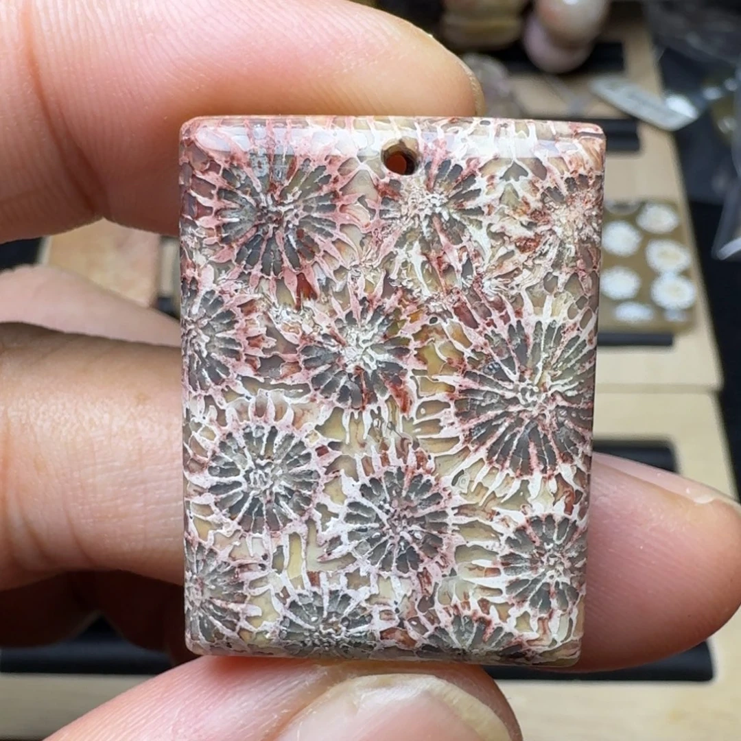硅化珊瑚（珊瑚玉）未镶嵌纯天然色有机玉石保真色