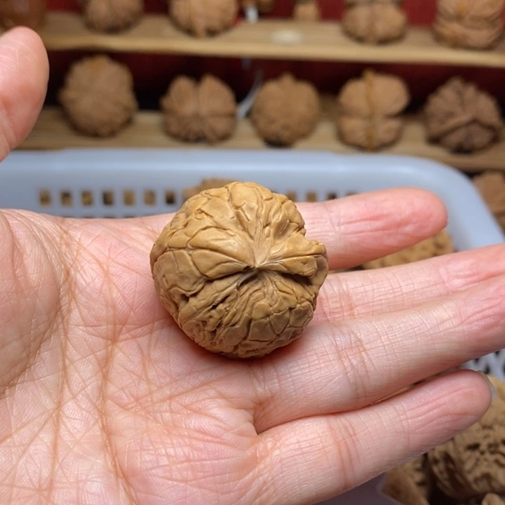 蚂***蚁文玩核桃把件文玩