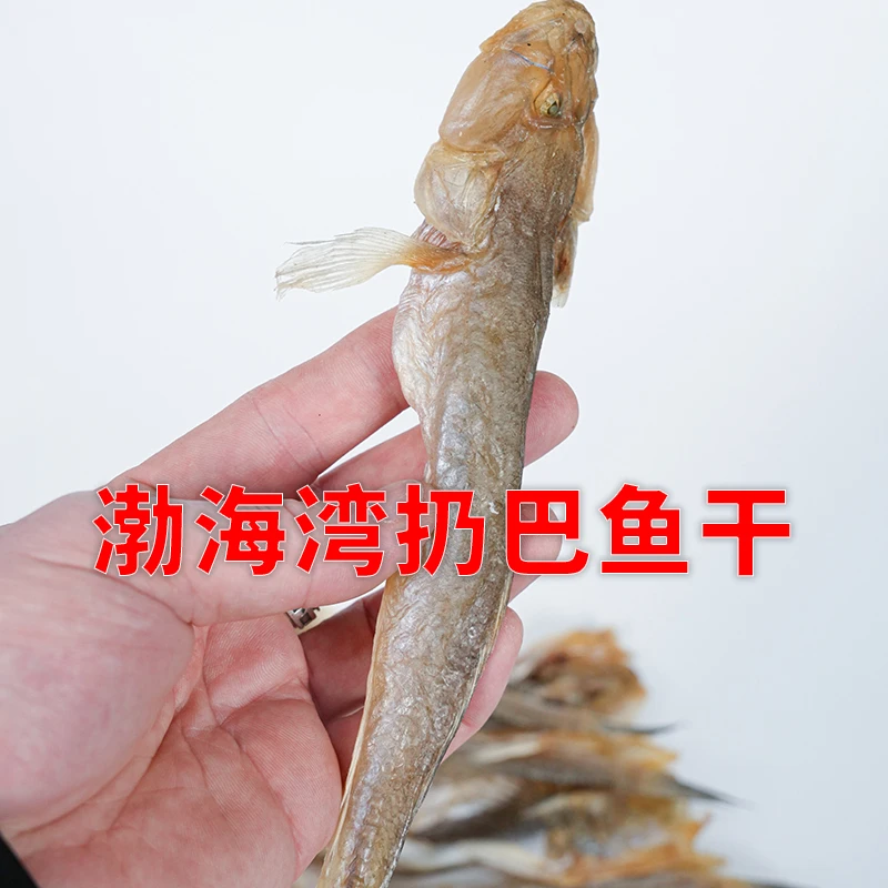 扔巴鱼干楞蹦鱼一卤盐楞巴鱼小咸鱼干下饭菜渤海湾葫芦岛海鲜特产